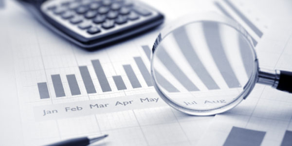 Internal Audits Division